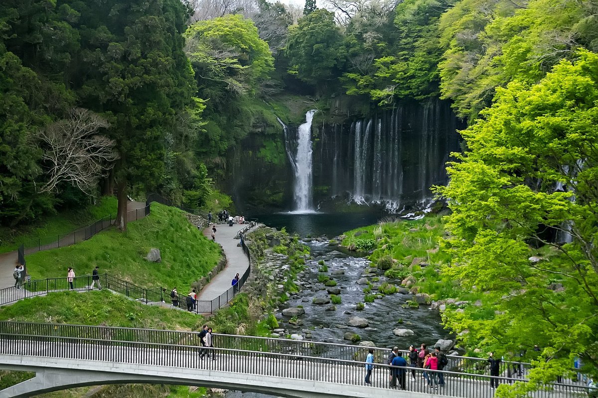 🌊 하얀 실 폭포(시라이토노타키) 이미지 8
